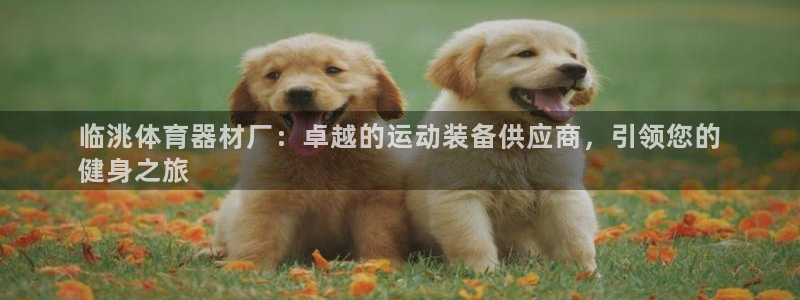极悦娱乐的创始人背景故事介绍:临洮体育器材厂:卓越的运动装备