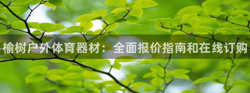 极悦平台客服投诉电话是多少:榆树户外体育器材:全面报价指南和