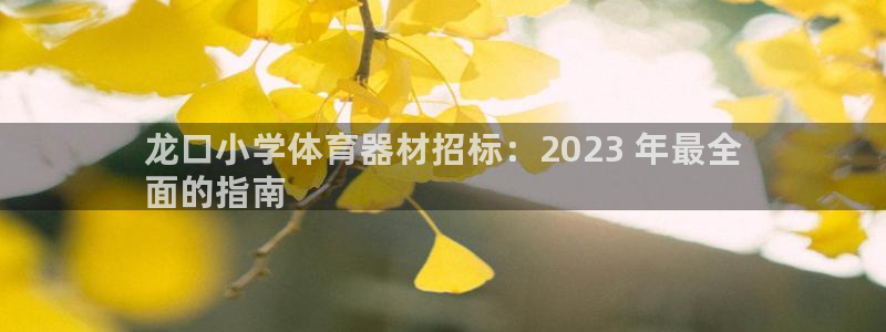 极悦娱乐官网入口:龙口小学体育器材招标:2023 年最全
面