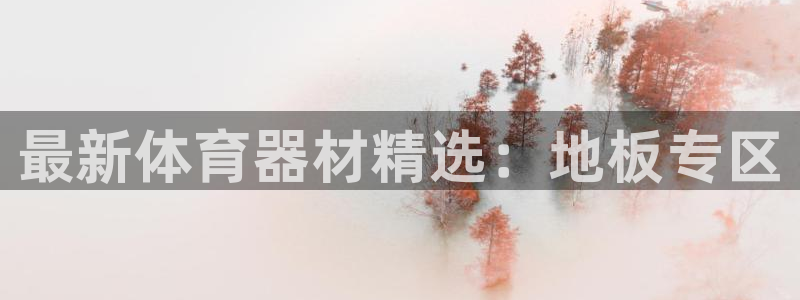 极悦平台官方网站登录入口:最新体育器材精选:地板专区