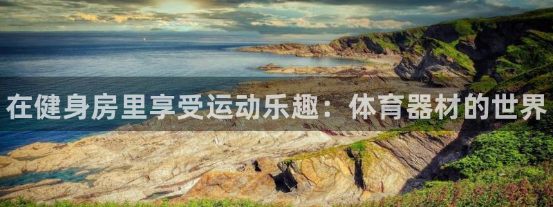 极悦娱乐官网最新版本更新内容:在健身房里享受运动乐趣:体育器