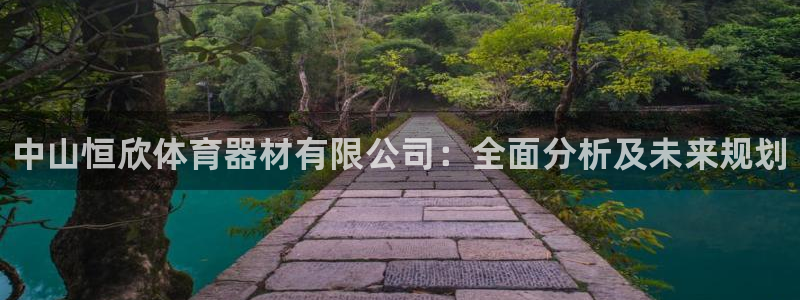 极悦平台客服团队怎么样:中山恒欣体育器材有限公司:全面分析及